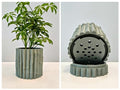 Pot 15