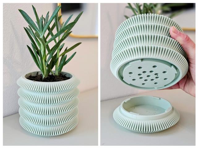 Pot 19