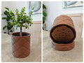 Pot 9