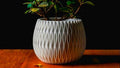 Cache pot 7